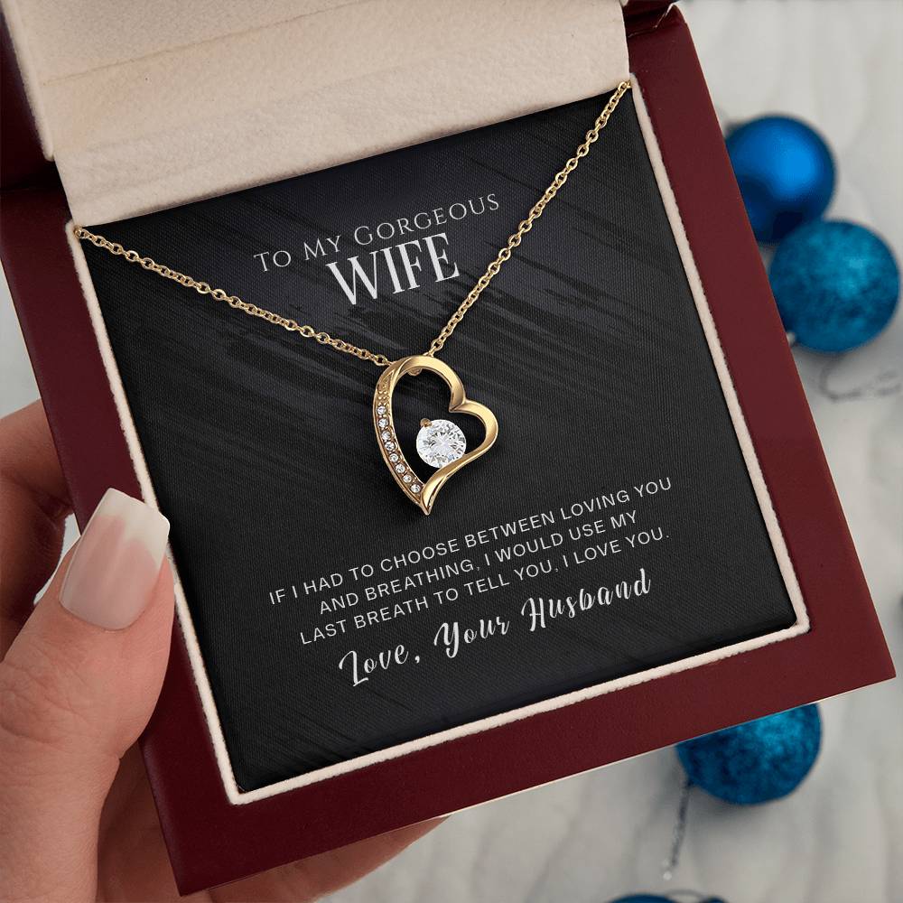 To my GORGEOUS Wife - I WOULD USE MY LAST BREATH TO TELL YOU, I LOVE YOU - Necklace