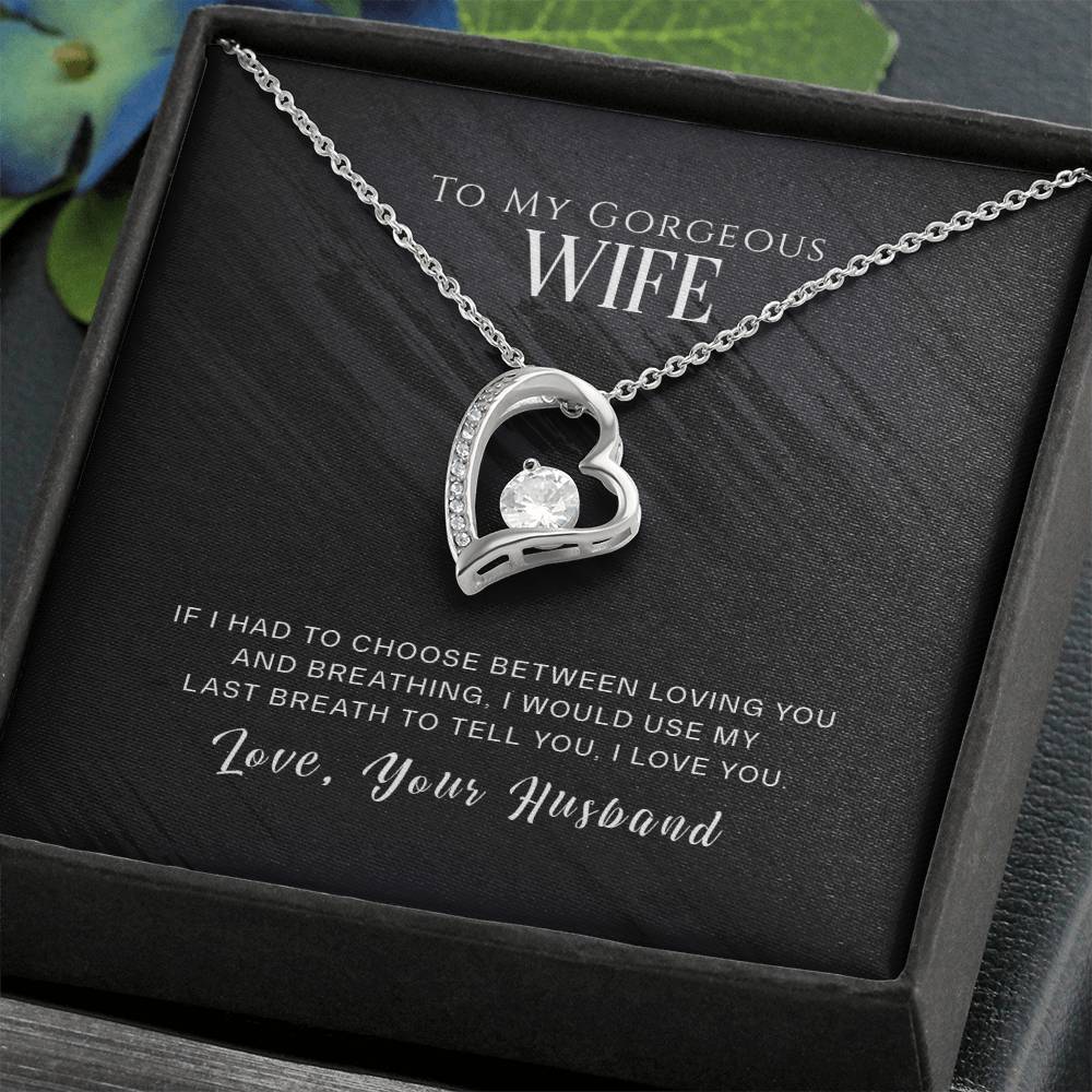 To my GORGEOUS Wife - I WOULD USE MY LAST BREATH TO TELL YOU, I LOVE YOU - Necklace