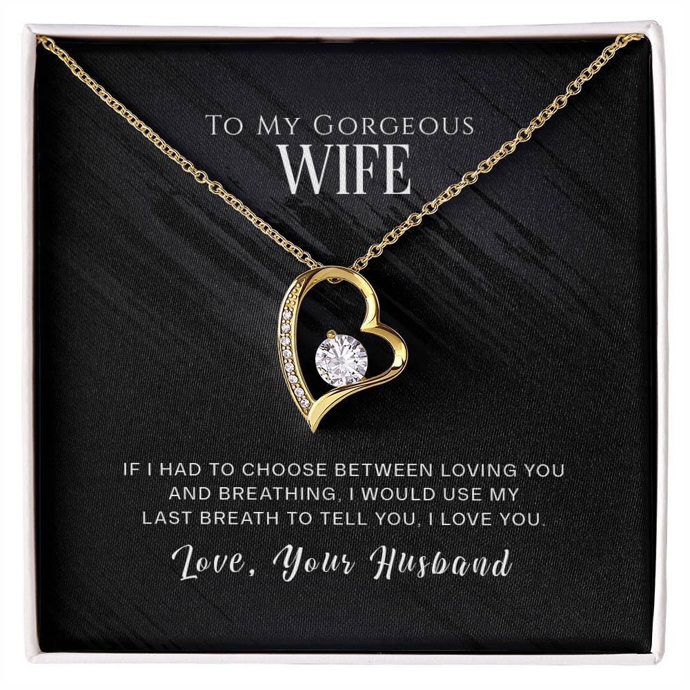 To my GORGEOUS Wife - I WOULD USE MY LAST BREATH TO TELL YOU, I LOVE YOU - Necklace