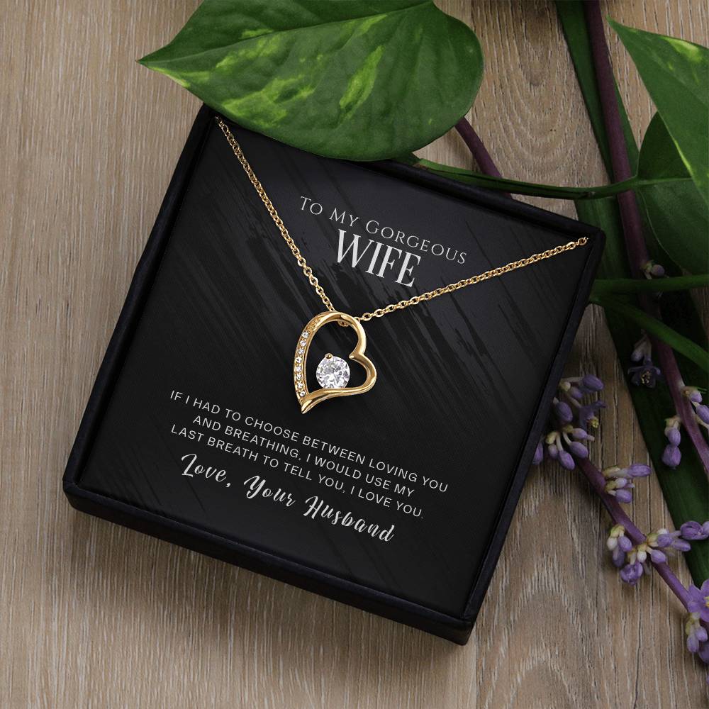 To my GORGEOUS Wife - I WOULD USE MY LAST BREATH TO TELL YOU, I LOVE YOU - Necklace